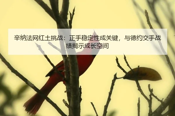 xin-na-fa-wang-hong-tu-tiao-zhan-zheng-shou-wen-ding-xing-cheng-guan-jian-yu-de-yue-jiao-shou-zhan-ji-jie-shi-cheng-2-469.jpg