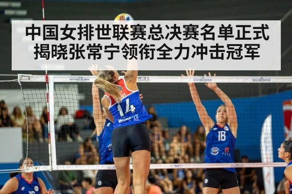 volleyball match action
