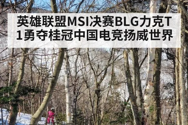 英雄联盟MSI决赛BLG力克T1勇夺桂冠中国电竞扬威世界