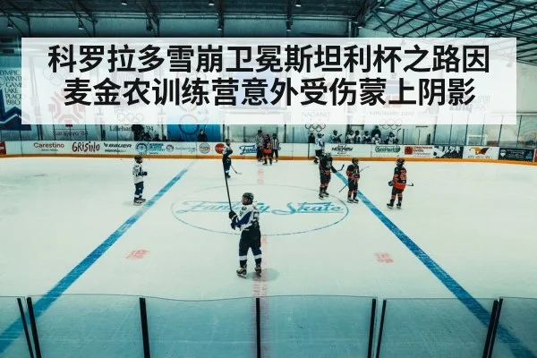 ice hockey arena game